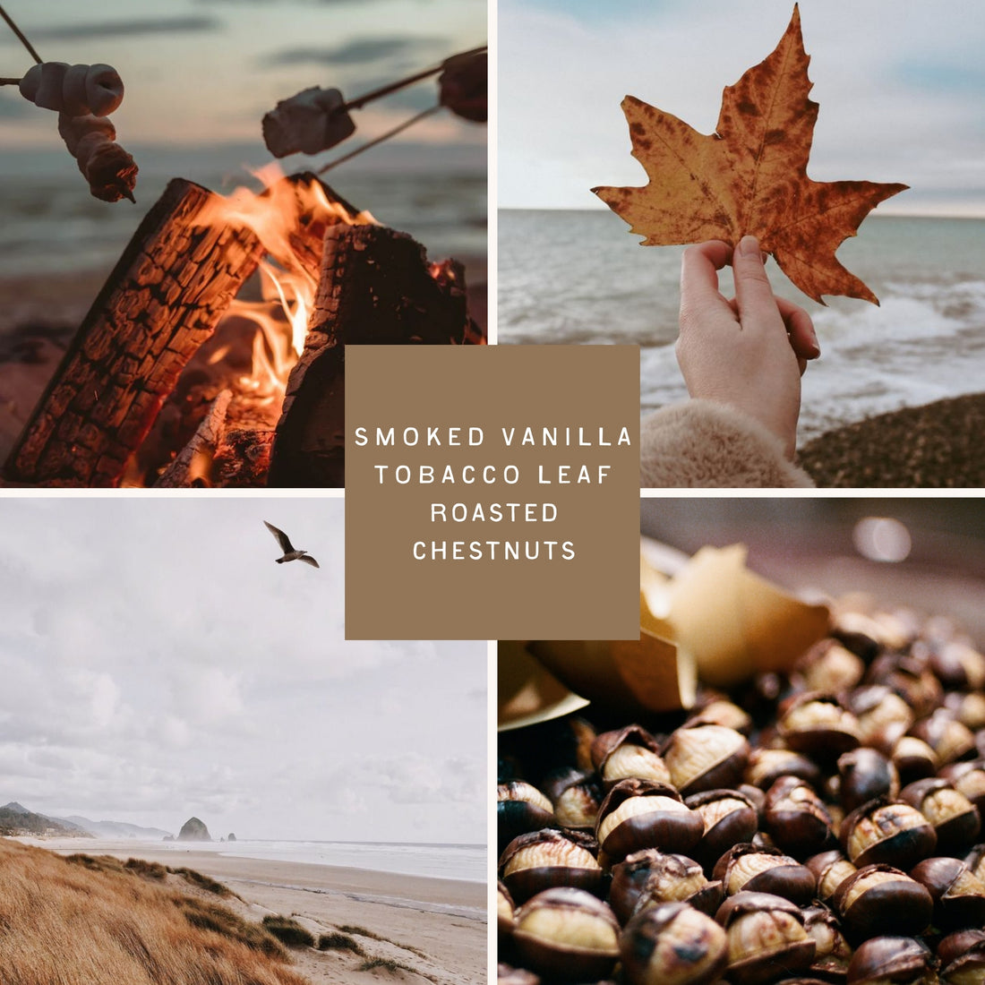 Coastal-inspired image collage for the Beach Bonfire candle from Salt Town, featuring marshmallows roasting over an open fire, a hand holding a golden autumn leaf by the shore, windswept dunes with a flying seabird, and roasted chestnuts in paper cones—evoking smoky warmth, crisp air, and cozy fall beach nights.