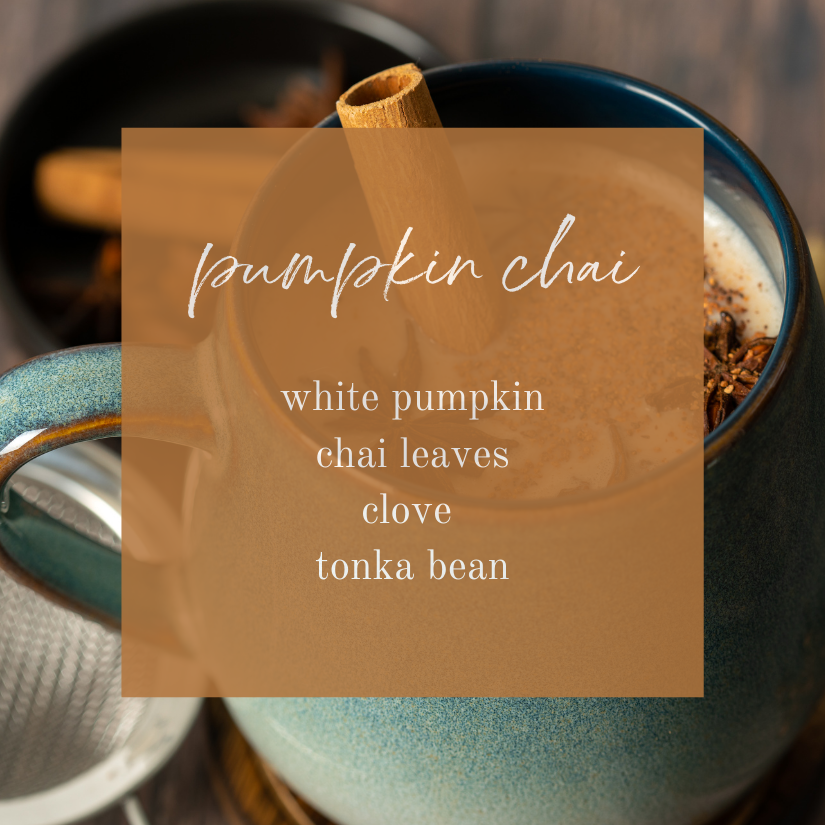 
                  
                    Pumpkin Chai Travel Tin
                  
                